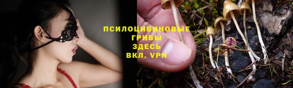 тгк Волосово