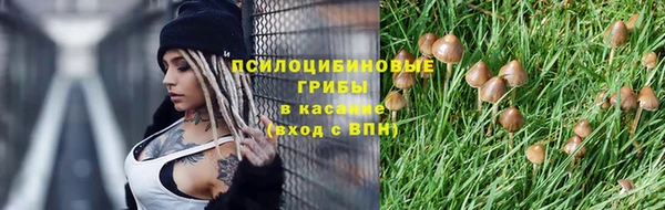 PSILOCYBIN Вязьма
