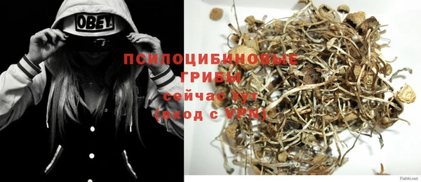 дживик Рославль