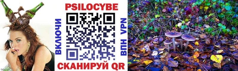 Псилоцибиновые грибы мухоморы Осинники